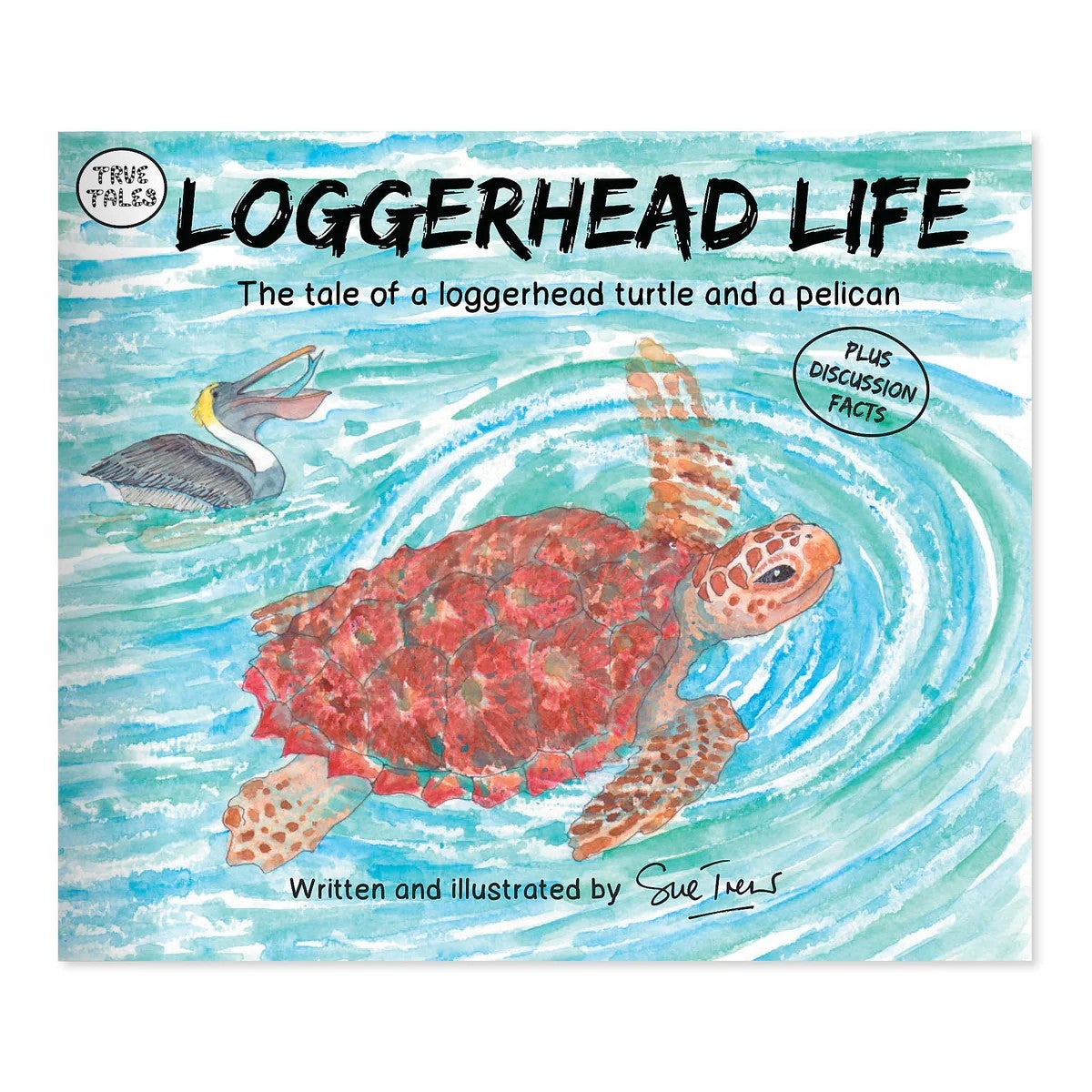 Loggerhead Life: The Tale Of A Loggerhead Turtle And A Pelican | The ...